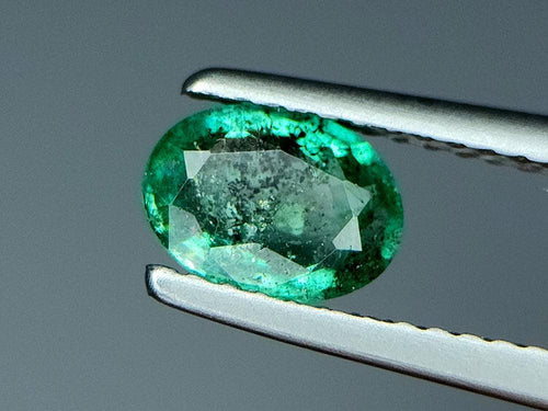 0.69 Crt Natural Emerald Gemstones IGCZZM330