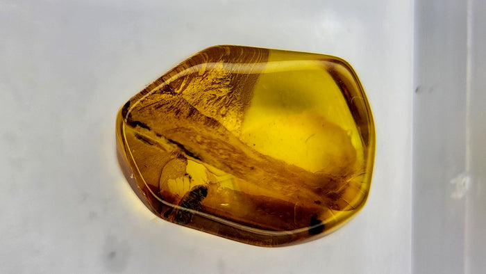 Baltic Amber 68