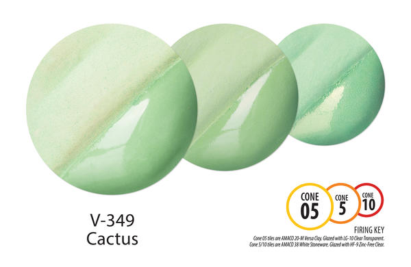 AMACO V349 Cactus