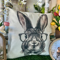 Bunny with Diamond Pattern Glasses Pillow with Stripe Bow Tie