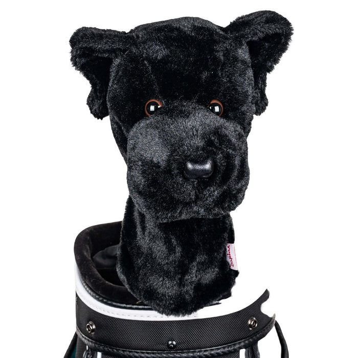 Black Lab