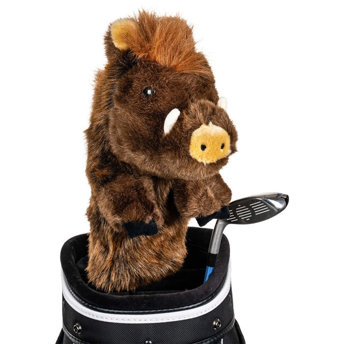 Boar