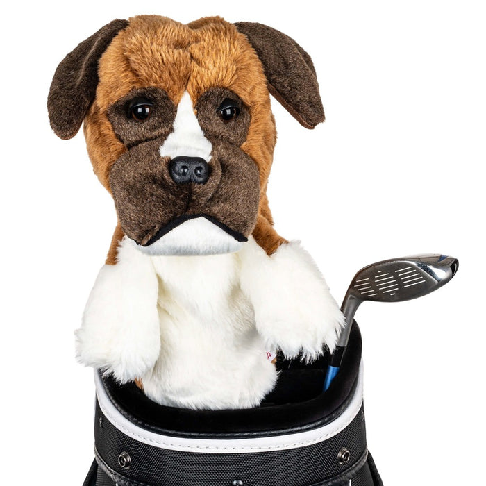 Boxer