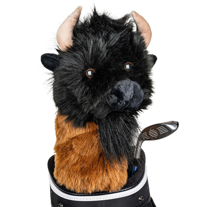 Buffalo