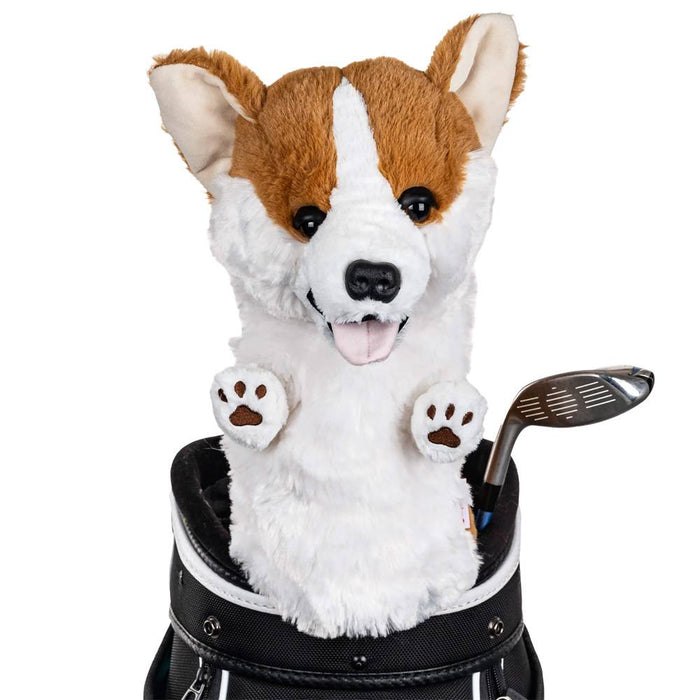 Corgi