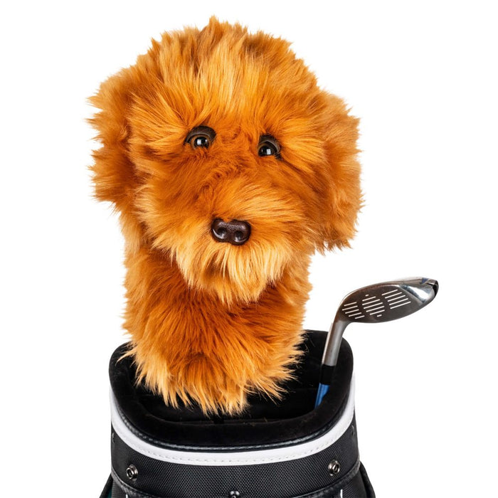 Doodle Dog