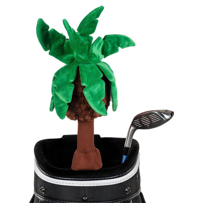 Palm Tree