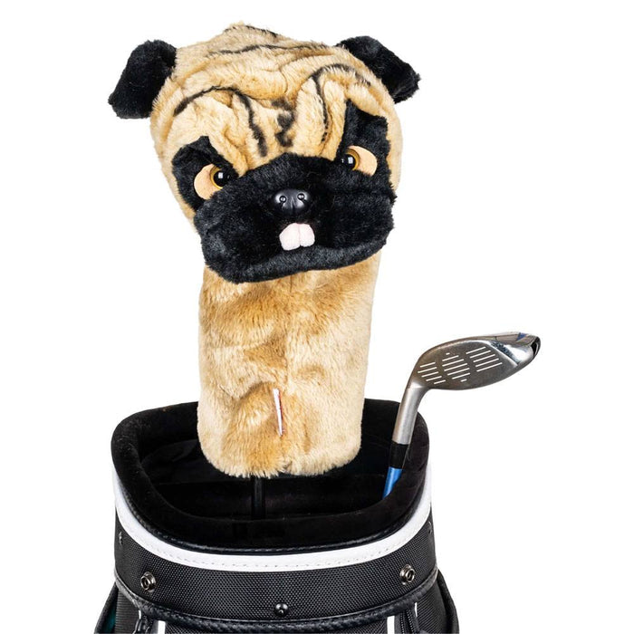 Pug