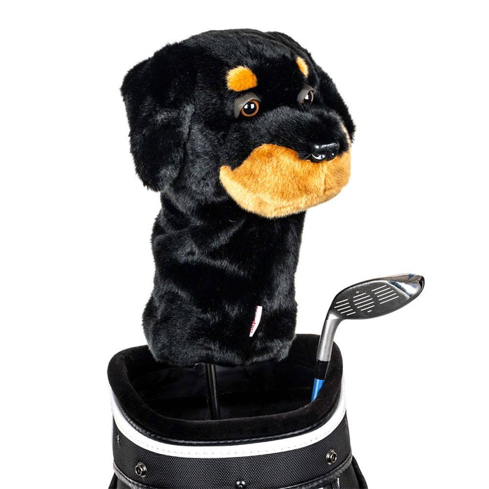 Rottweiler