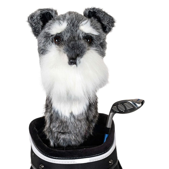 Schnauzer