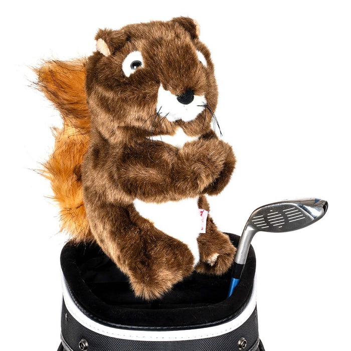 Squirrel