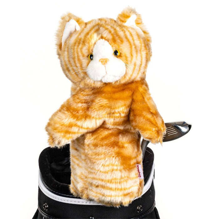 Tabby Cat