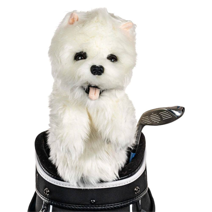 Westie