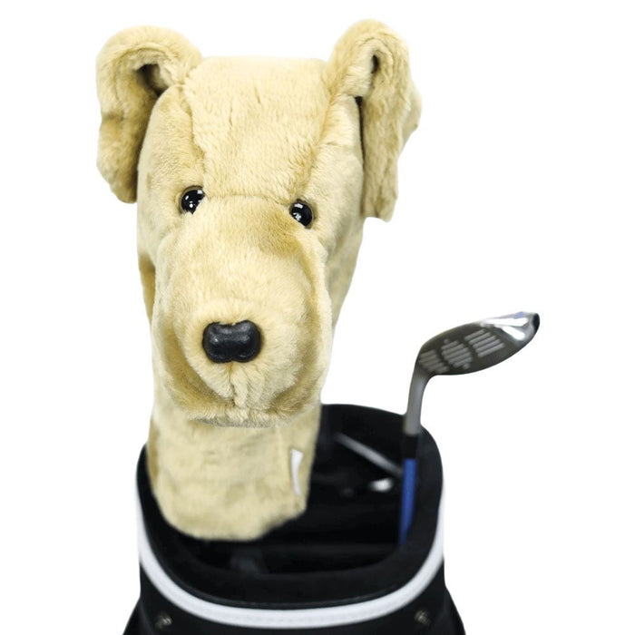 Yellow Lab