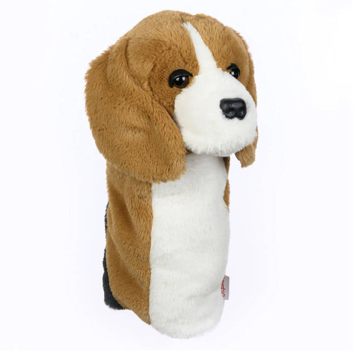 Beagle