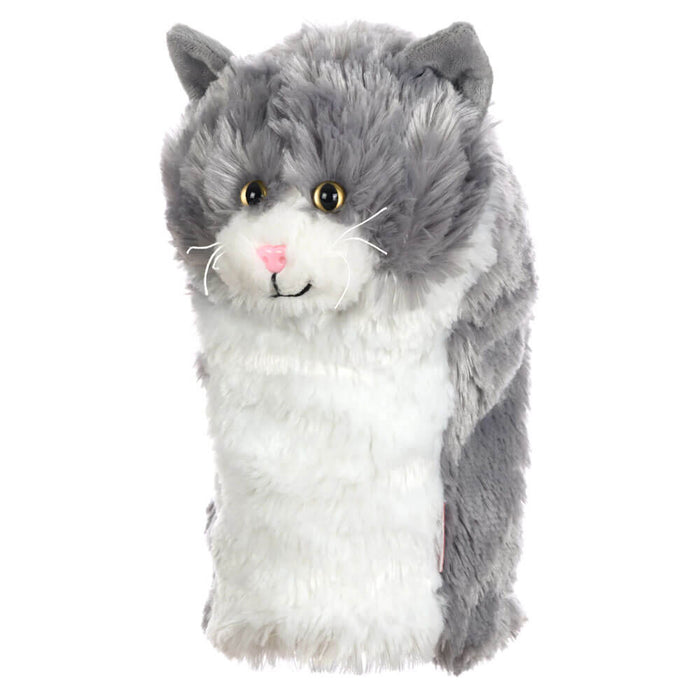 Gray & White Cat