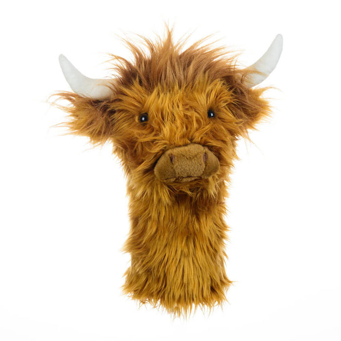 Highland Cow