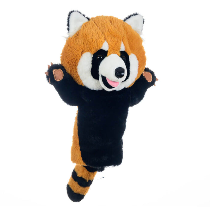 Red Panda