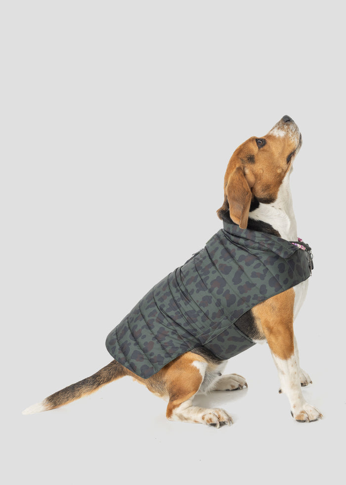 Doudoune pour chien Army foncé léopard Cutie print