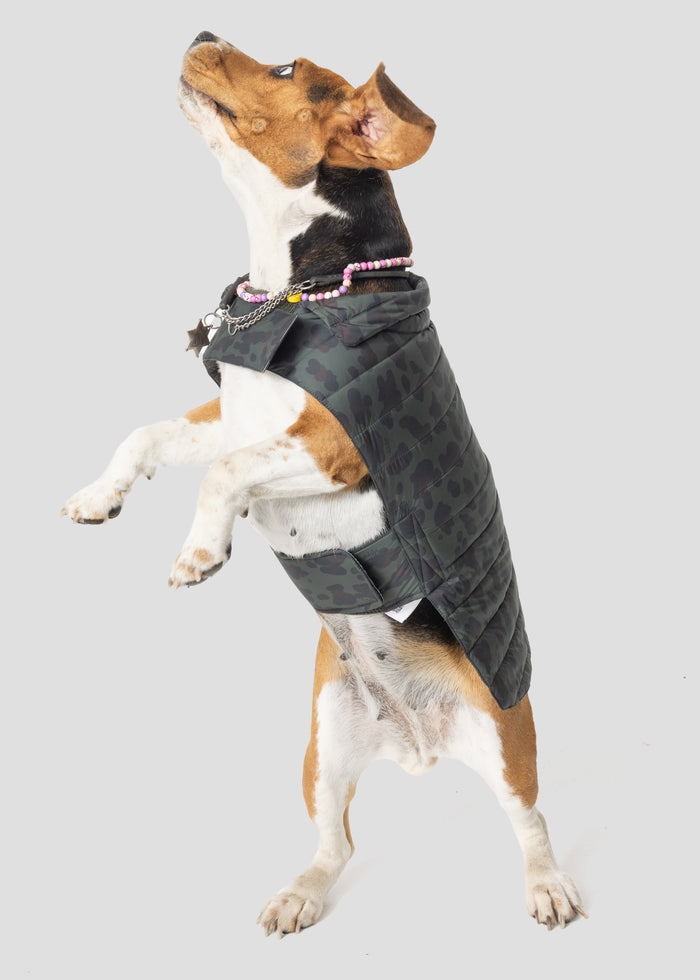 Doudoune pour chien Army foncé léopard Cutie print