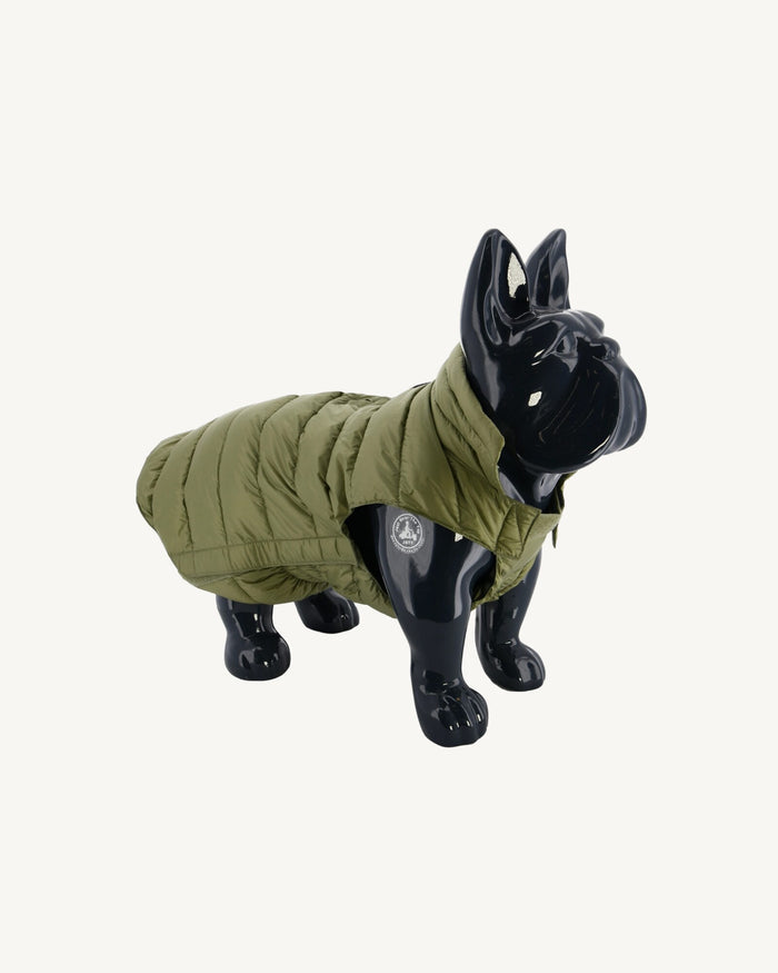 Doudoune pour chien Kaki clair Woop