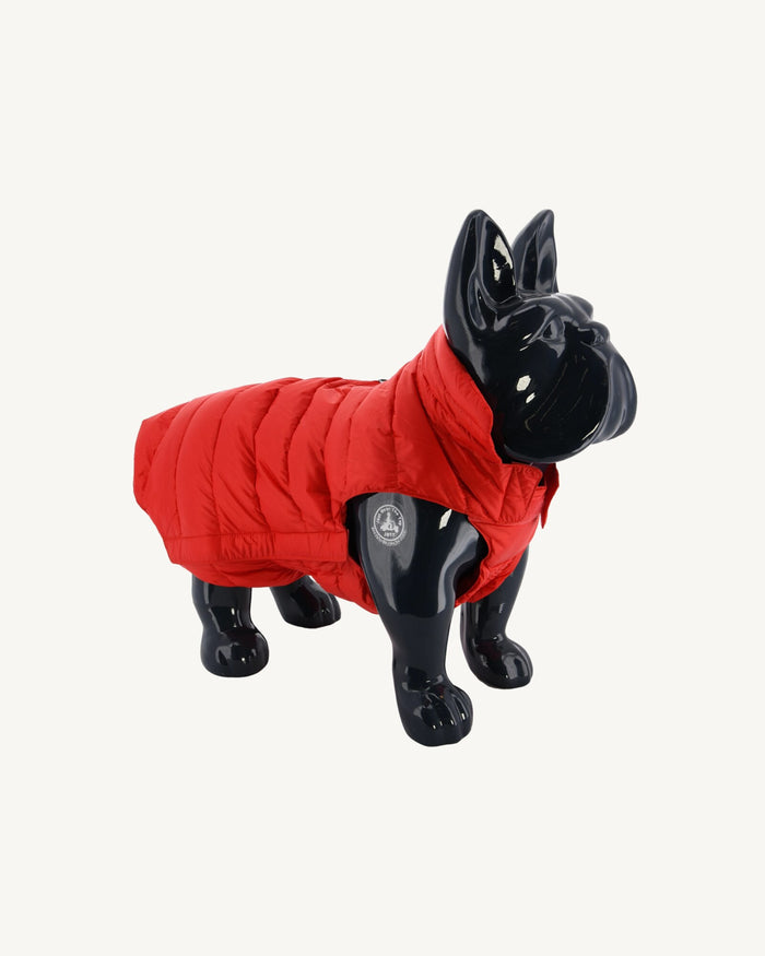 Doudoune pour chien Rouge vif Woop