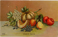 Favorite Fruits Still Life Vintage Botanical Art Postcard c. 1910s (unposted) - Vintage Postcard Boutique