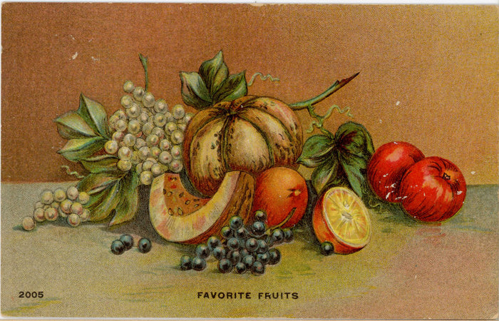 Favorite Fruits Still Life Vintage Botanical Art Postcard c. 1910s (unposted) - Vintage Postcard Boutique