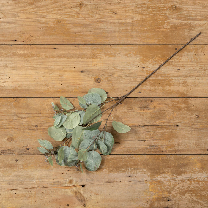 Green Eucalyptus Spray