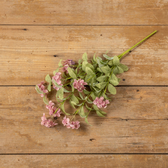 Hydrangea Bush