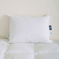 Iceland 500TC Hutterite White Goose Down Pillow - Mattress Miracle Brantford