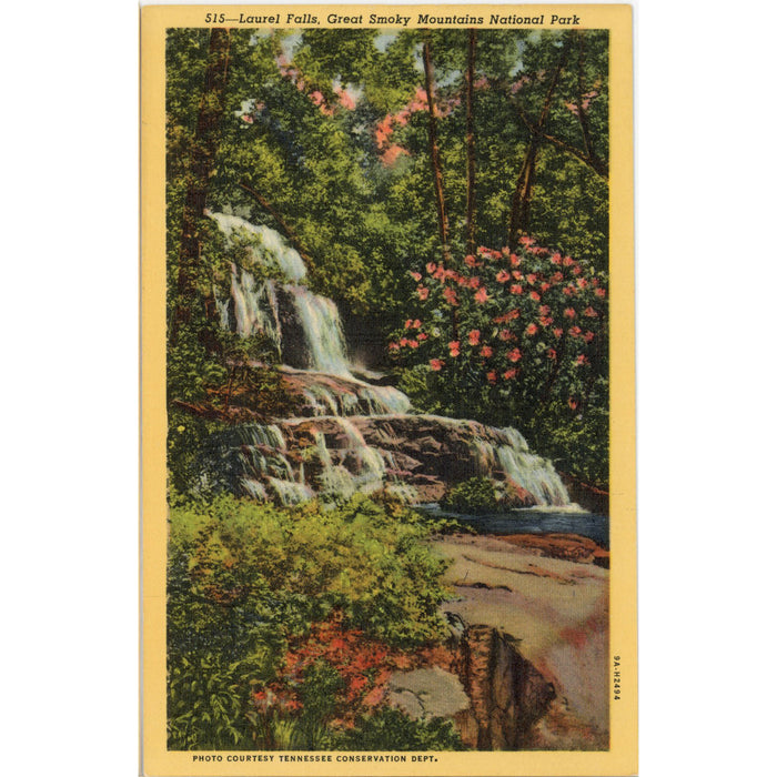 Laurel Falls Smoky Mountains National Park Vintage Postcard (unposted)