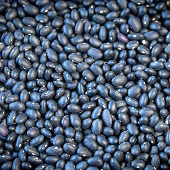Close up of dried black beans