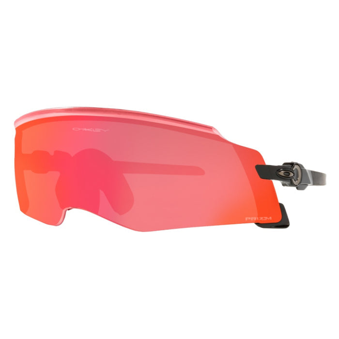 Polished Black / Prizm Trail Torch