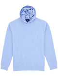 Palmetto Hoodie Powder Blue