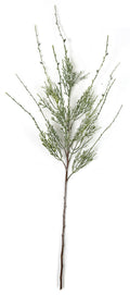 Pine Greenery Stem 39"