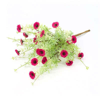 Purple Daisy
