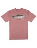 Rainbow Trout SS Salmon