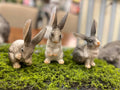 Set of 3 Gray and White Baby Bunnies