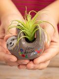 Sloth Faux Succulent
