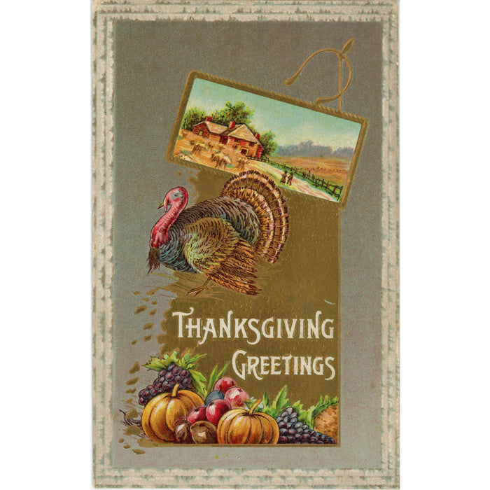Thanksgiving Greetings Turkey Farm Scene Vintage Embossed Postcard 1911 - Vintage Postcard Boutique