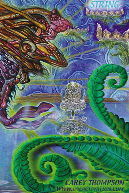 The String Cheese Incident - Summer Tour 2004  (3 Panel)