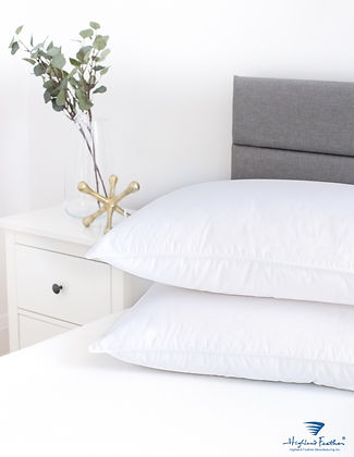 Tortosa 233TC White Goose Down Pillow - Mattress Miracle Brantford