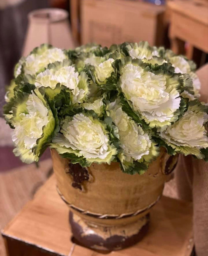 White & Green Artificial Cabbage Bundle of 3