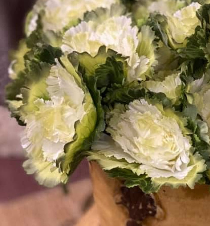 White & Green Artificial Cabbage Bundle of 3