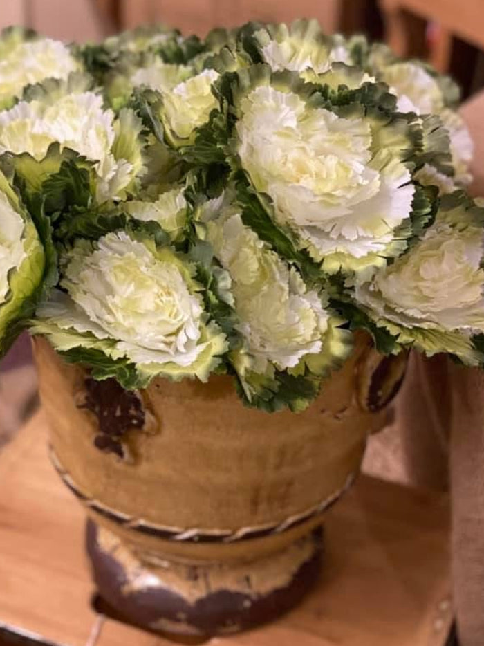 White & Green Artificial Cabbage Bundle of 3